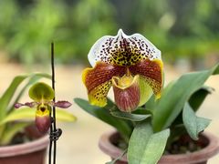 -国家植物园南园