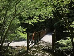 -太湖源风景区