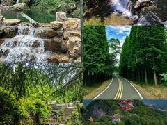 -宜兴龙背山森林公园