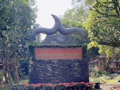 -海口火山口国家地质公园