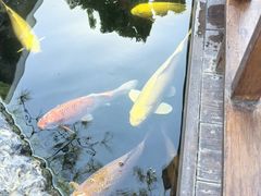 -顺德渔村·岭南一号