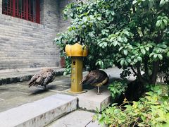 -罔极寺
