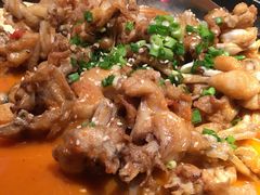 西域番茄蛙-蛙喔牛蛙(仙林万达茂店)