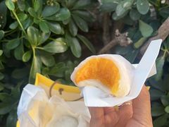 -澳门长洲糯米糍(柯打苏沙街店)
