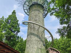 -黄海国家森林公园