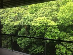 -台北北投丽禧温泉酒店
