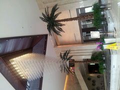 android_upload_pic-常州环球恐龙城维景国际大酒店