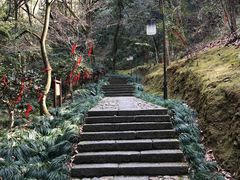 -梦姑塘文化公园