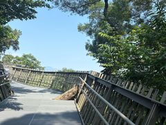 -福道