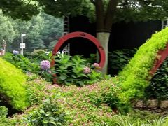 -合肥滨湖国家森林公园