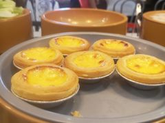 -龍歌自助小火锅(李沧丽达店)