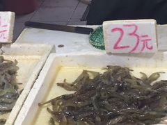 -陇南批发市场
