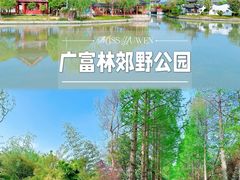 -广富林郊野公园