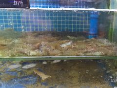 -常家活海鲜小吃(仅一家无分店)