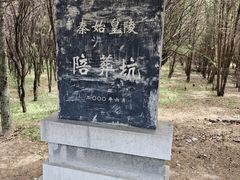 -秦始皇帝陵博物院-丽山园