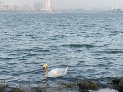 -北龙湖湿地公园