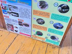 -蓝湾碧波·老字号·疍家非遗海上餐厅