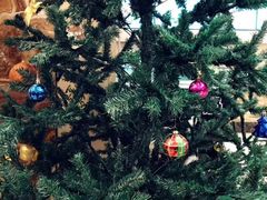 -满汉楼(江畔店)