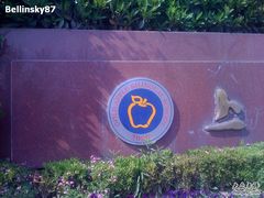 -上海市民办金苹果学校