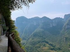 -鹿院坪生态旅游景区