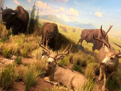 -陕西自然博物馆