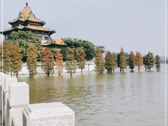 -顺峰山公园