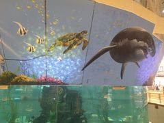 -鸿通城购物中心