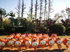 -上海长兴岛郊野公园