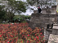 -松山湖梦幻百花洲