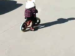 -稚马儿童平衡车自行车俱乐部