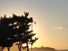 -威海国际海水浴场旅游区