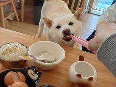 -柴の食堂·日式家庭料理·熊之肆(大学路店)