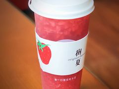 多肉草莓-树夏(建设路店)
