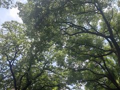 -苏州大学(天赐庄校区)