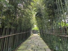 -新荣记(西溪湿地店)