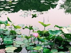 -四川大学(华西校区)