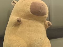 -玉川屋创意日料(北美新天地店)