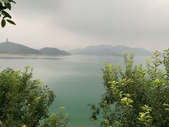 -望湖烤鱼