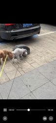 -HEYAN荷妍专业脱毛连锁机构
