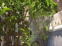 -森SPA·泰式按摩·精油Massage(宝安中心店)