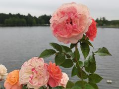 -上海辰山植物园