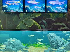 -海合安成都极地海洋公园