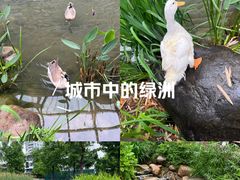 -活水公园