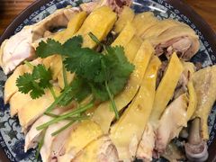 -九斤黄三黄鸡专卖店