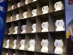 -line friends(明洞旗舰店)