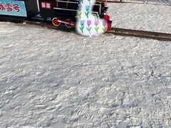 -绿野森林乐园冰雪季