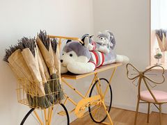 -Husky Go! 哈士奇体验馆·宠物咖啡厅狗咖