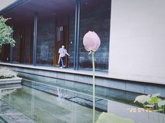 -九里云松·天香餐厅