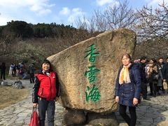 -香雪海