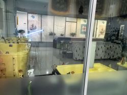 -纵享怡月月子中心(西稍门店)
